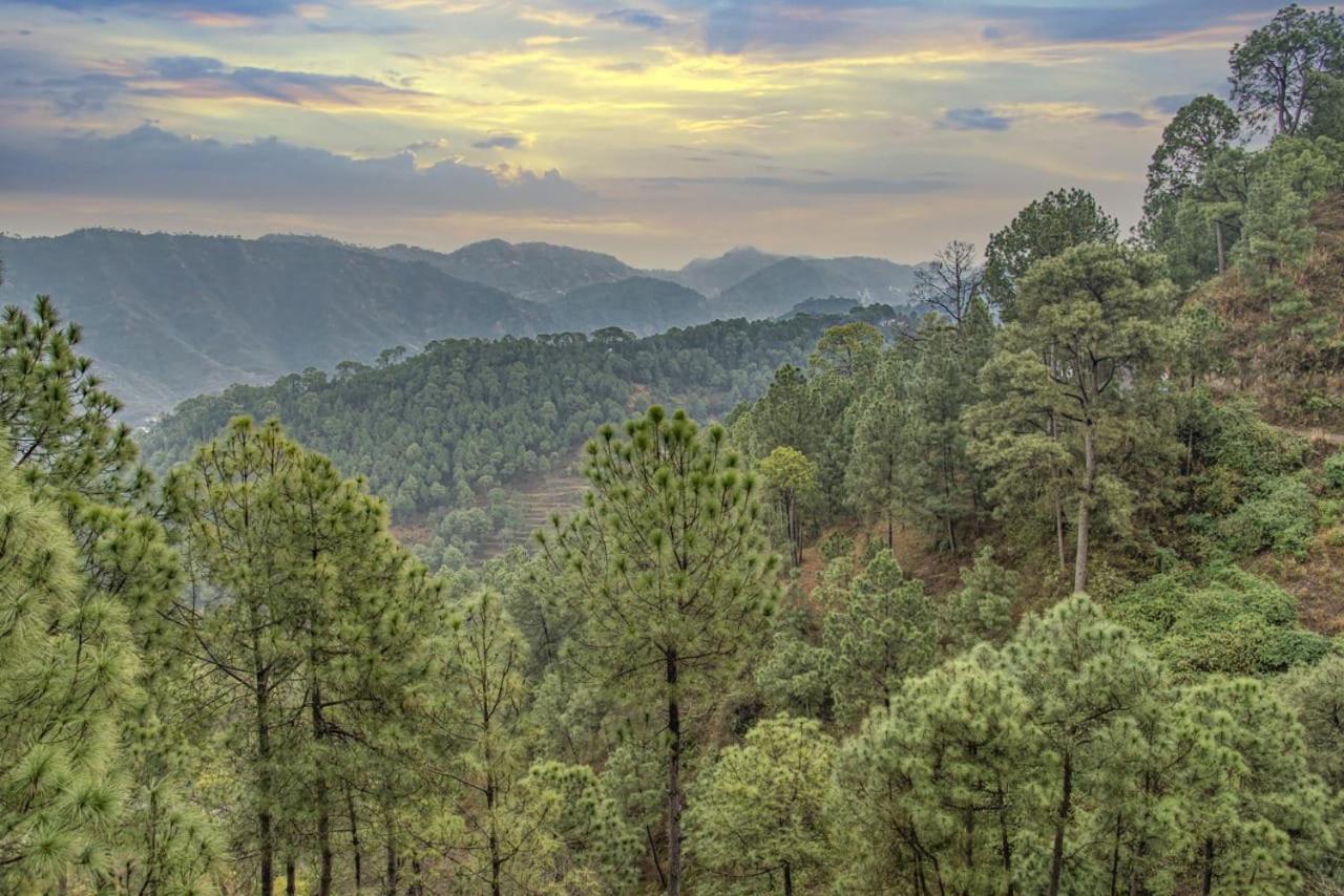 Asdaed Διαμέρισμα Kasauli Εξωτερικό φωτογραφία
